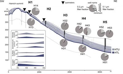 Predominance of Cand. Patescibacteria in Groundwater Is Caused by Their Preferential Mobilization From Soils and Flourishing Under Oligotrophic Conditions